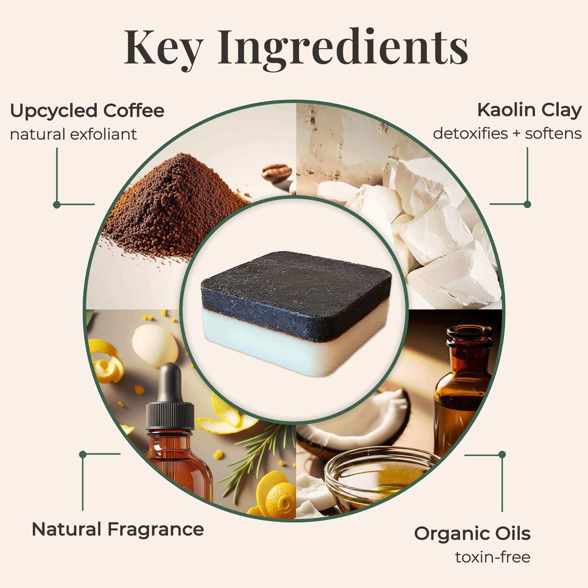 Cedar + Bay Leaf | Coffee Soap | Exfoliating, Hydrating, Zero-Waste - Image 6