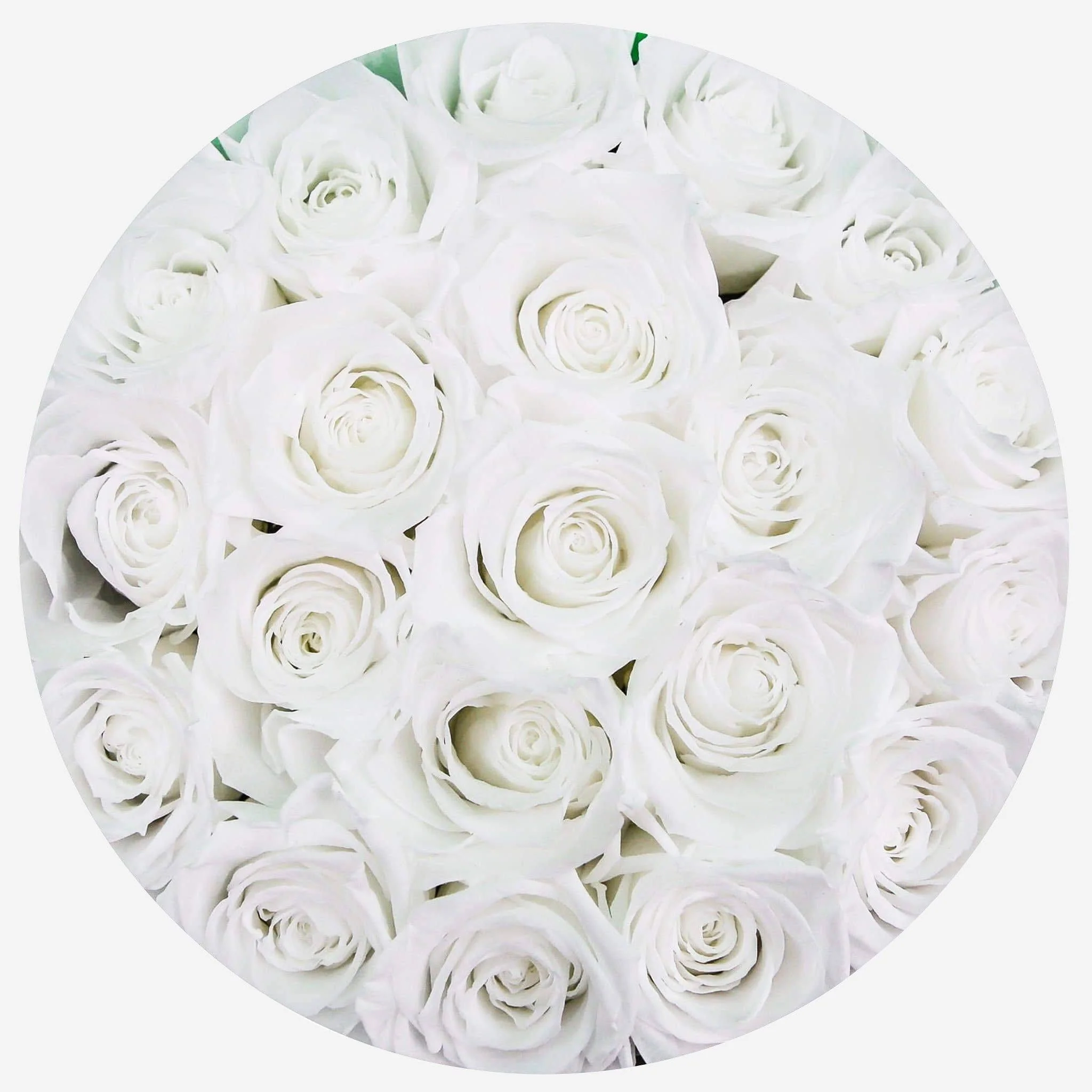 Classic White Box | White Roses - Image 3