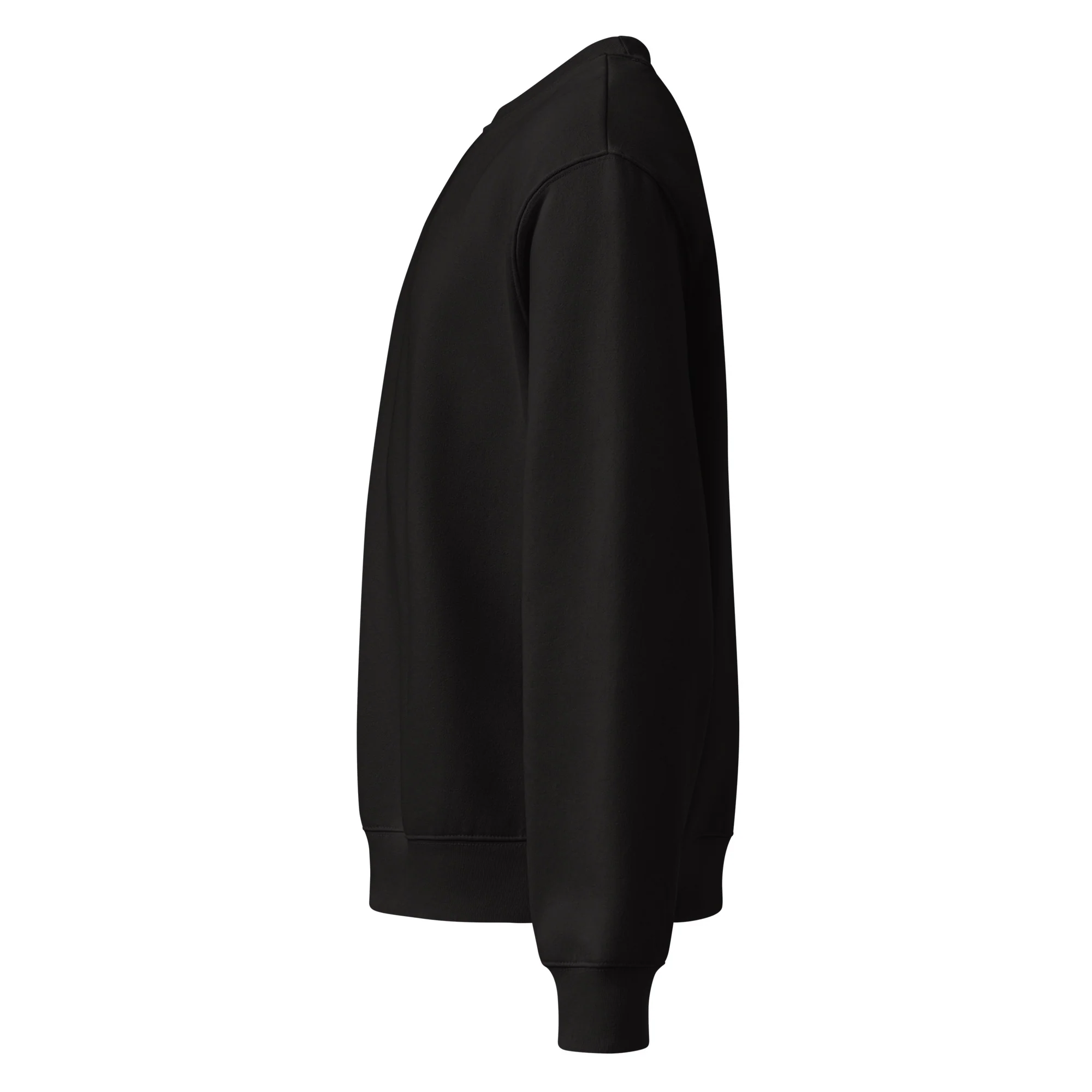Oversized Heavyweight Sweatshirt | BLK EMB - Image 20