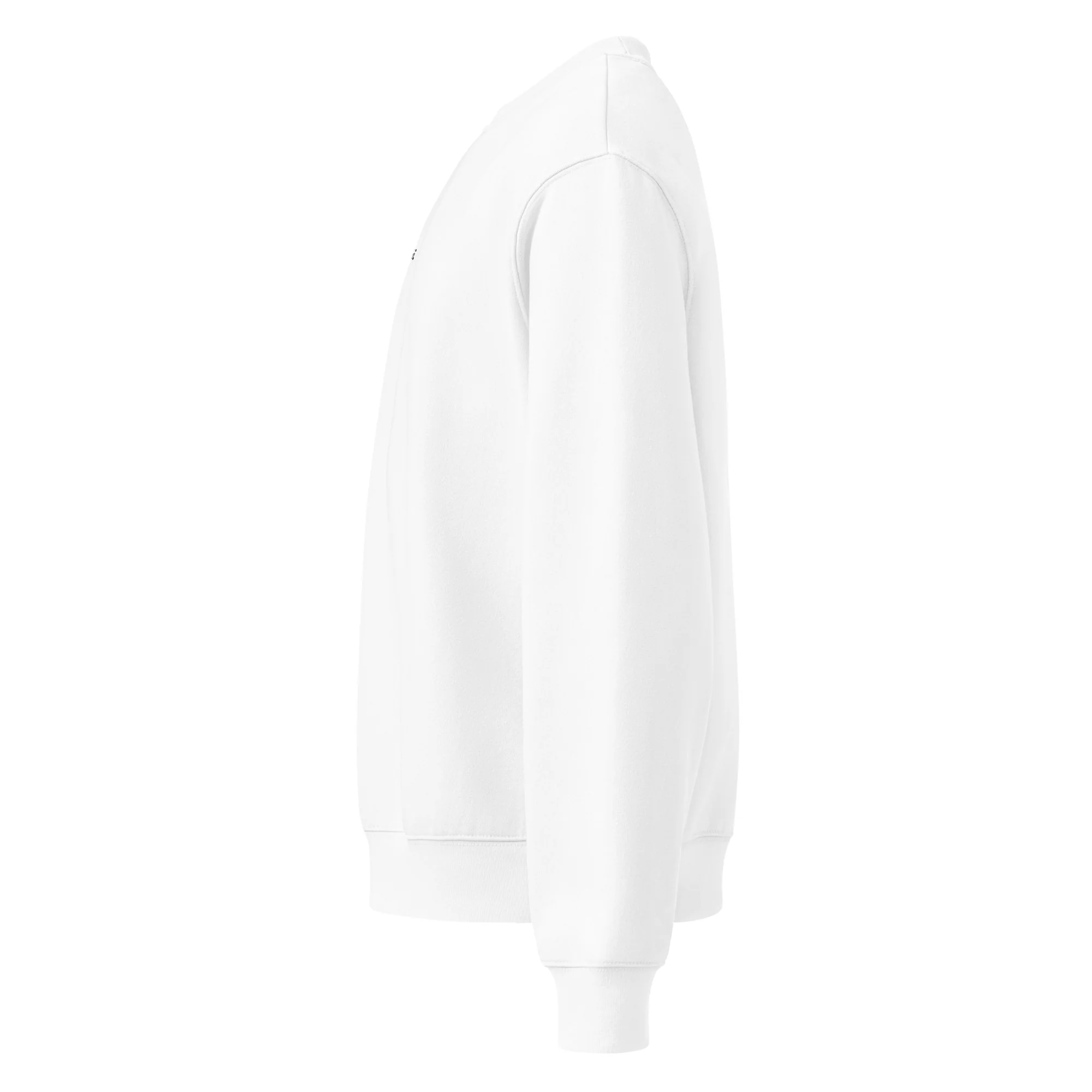 Oversized Heavyweight Sweatshirt | BLK EMB - Image 44