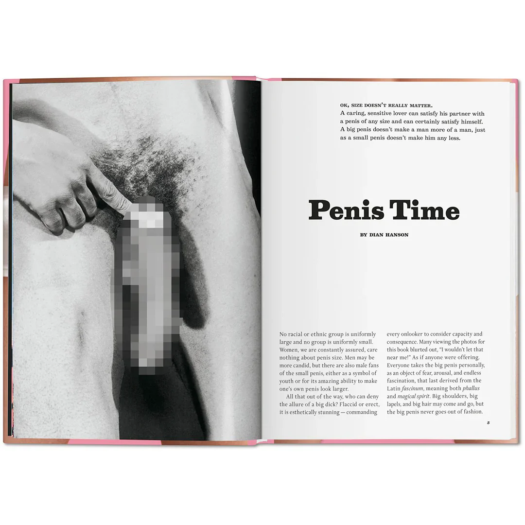 THE LITTLE BIG PENIS BOOK - DIAN HANSON - Image 2
