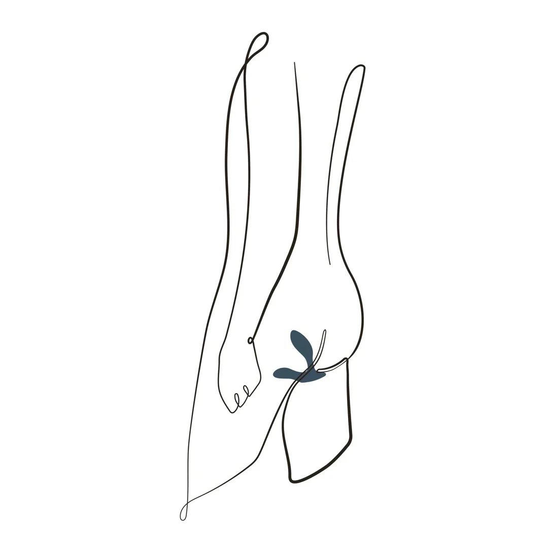 WE VIBE | VECTOR VIBRATING MASSAGER FOR PROSTATE WITH APP - Image 6